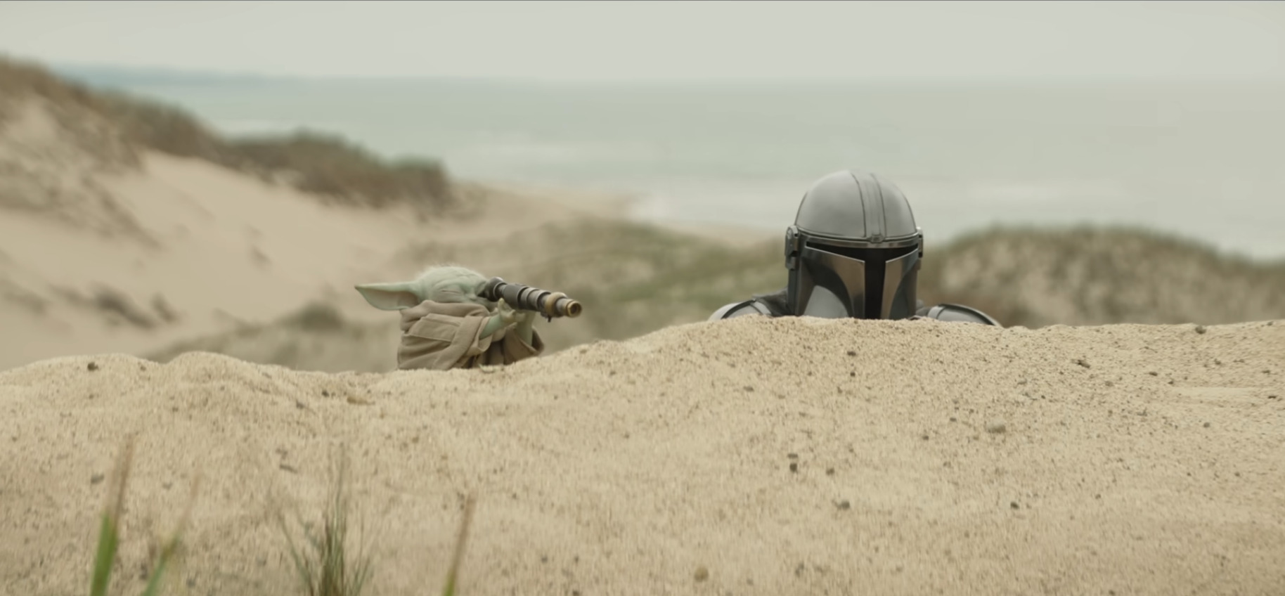 The Mandalorian and Grogu.